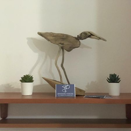 Il Mio Piccolo Angolo Di Mare Apartament Viareggio Zewnętrze zdjęcie