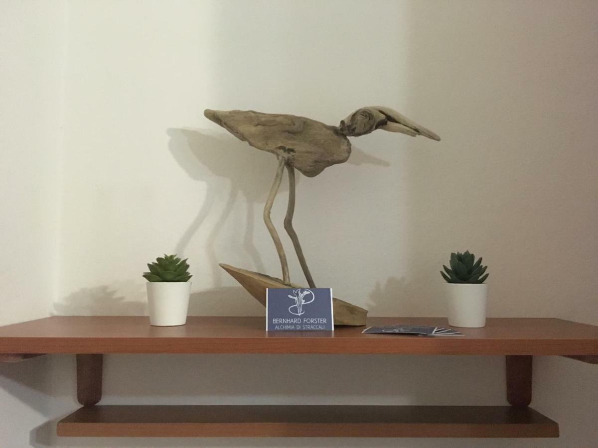 Il Mio Piccolo Angolo Di Mare Apartament Viareggio Zewnętrze zdjęcie
